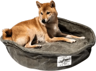 Members-Only Recommendation