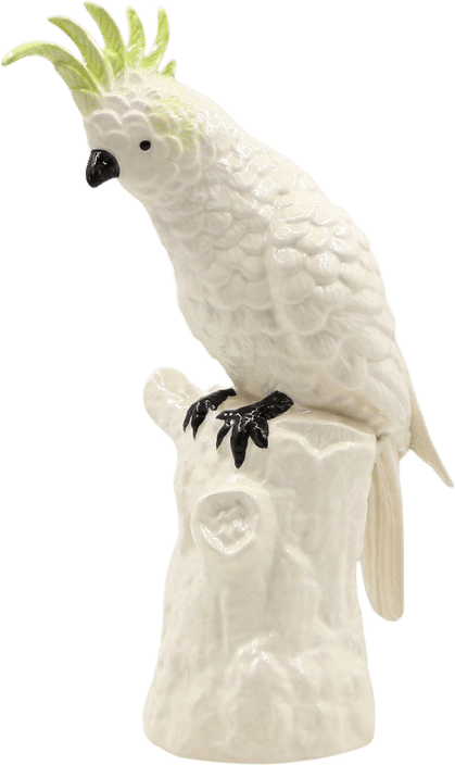 The best kind of bird
