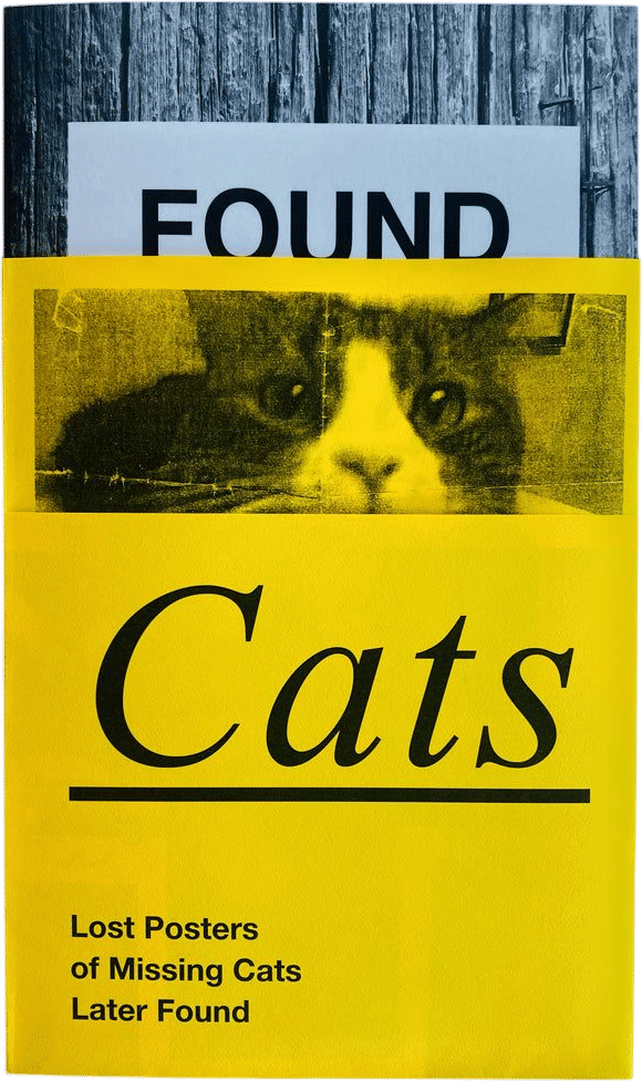 found cats