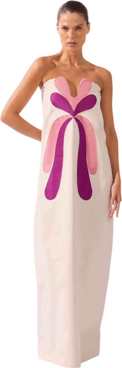 Adriana Degreas Structured Maxi Dress