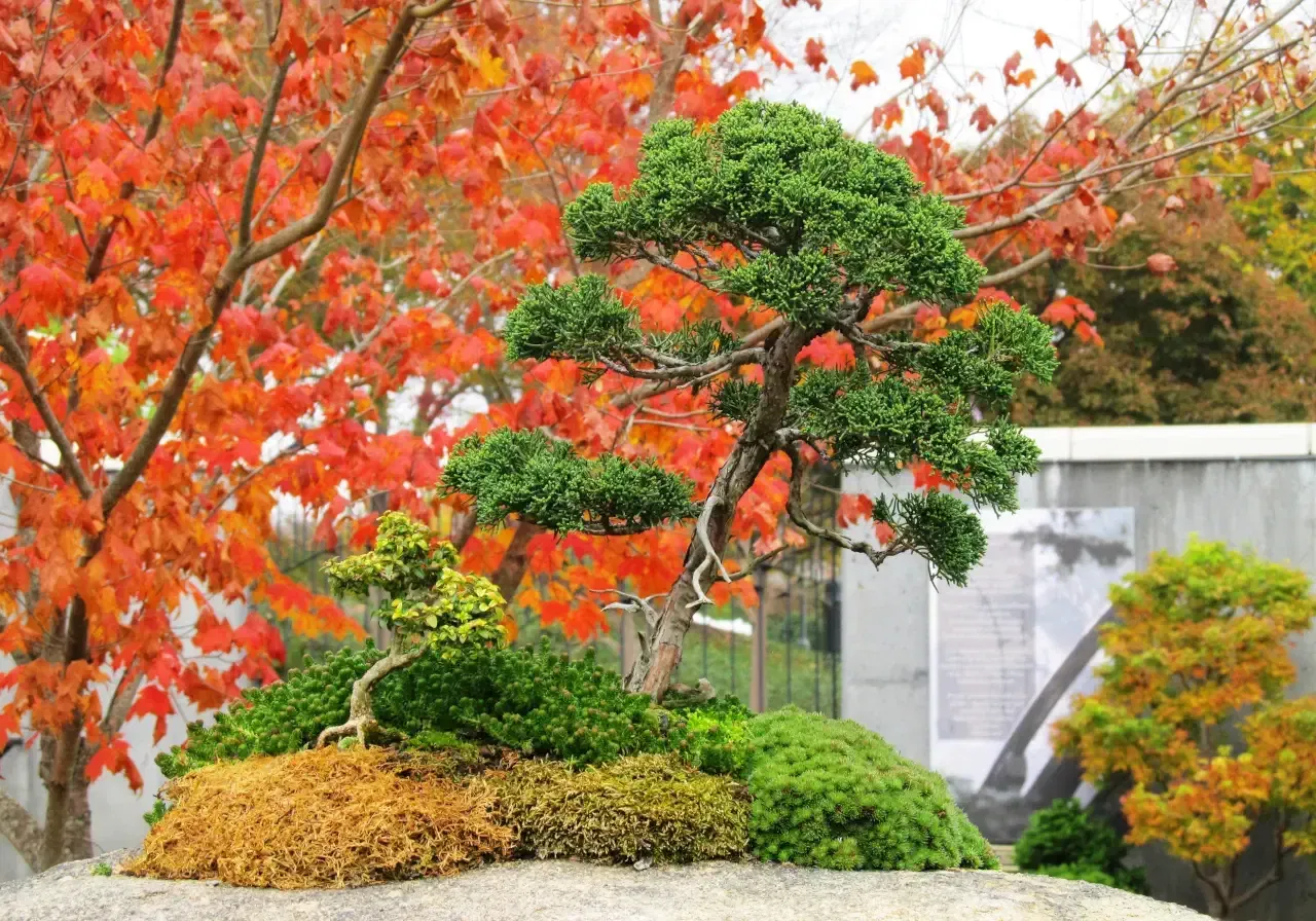 North Carolina Arboretum
