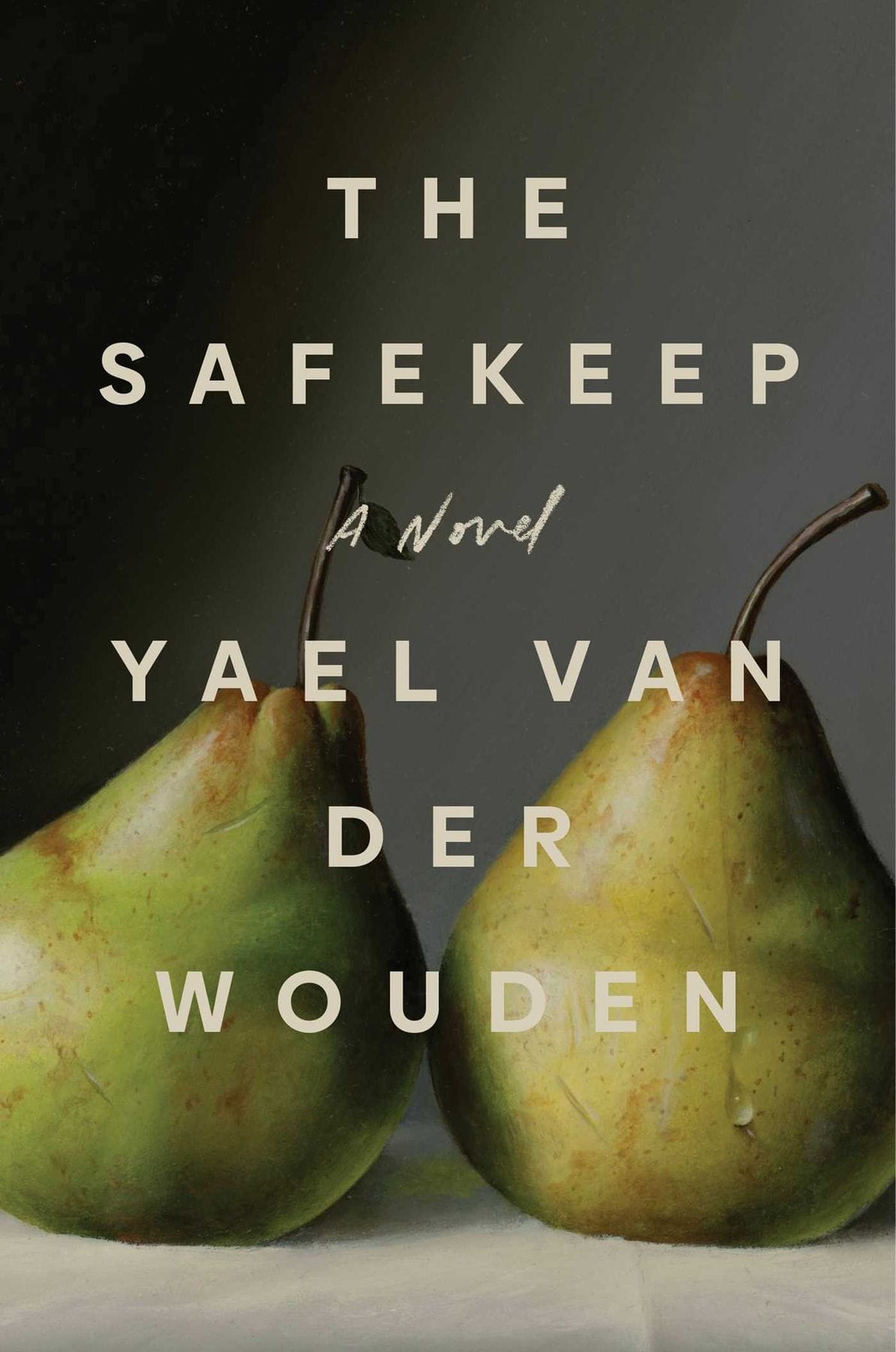 The Safekeep, a brilliant novel by Yael Van der Wouden ( LGBTQ)