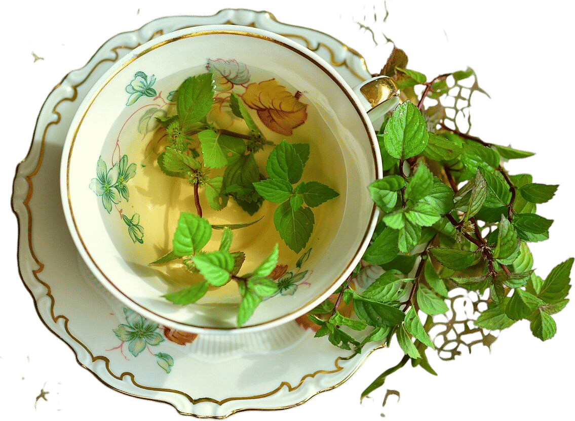 Peppermint tea (herbal tea)