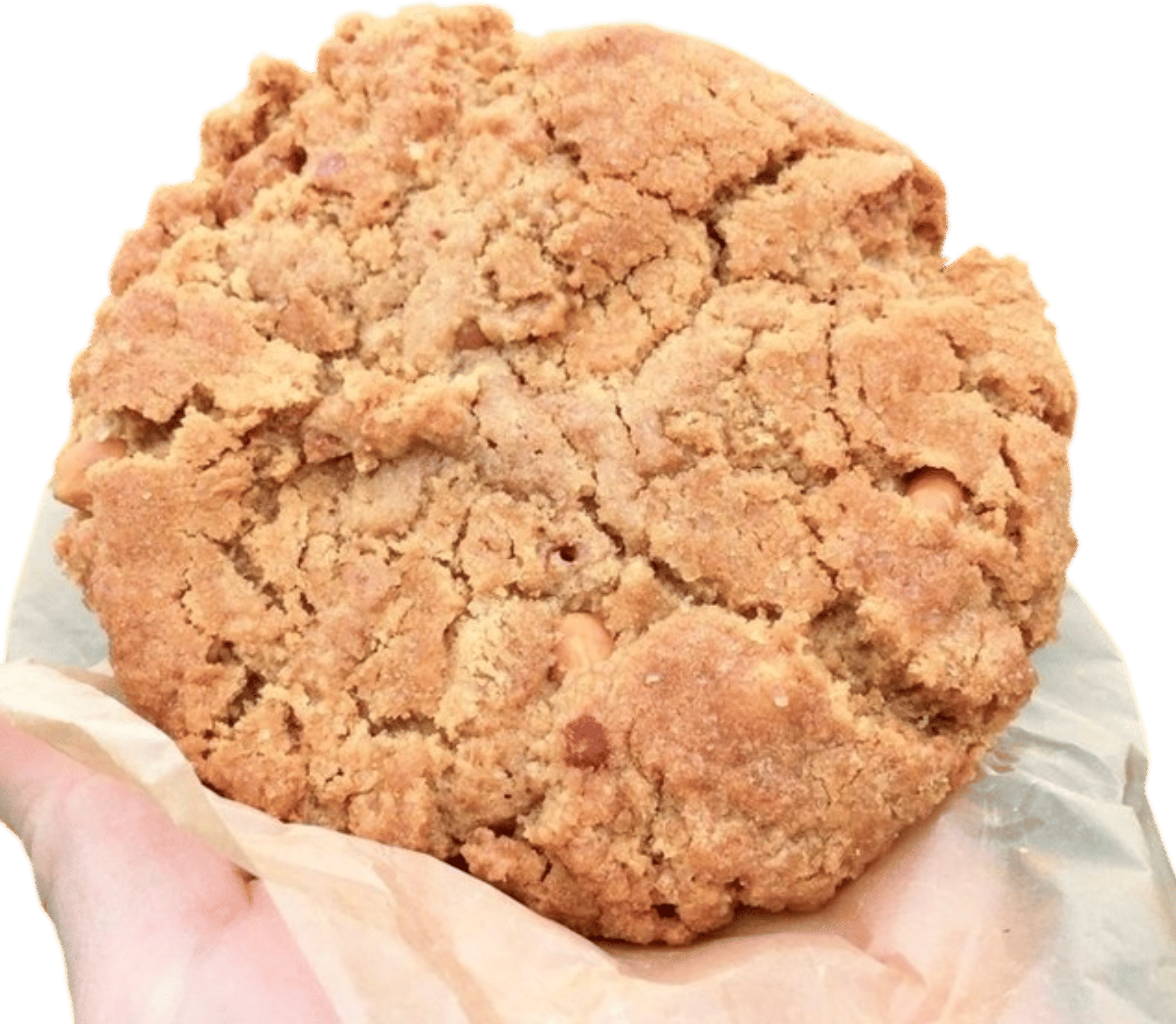 Peanut Butter Cookie