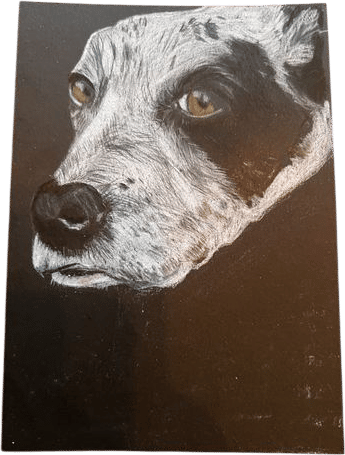 drawing dogs