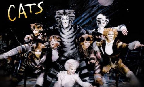 Cats: the musical