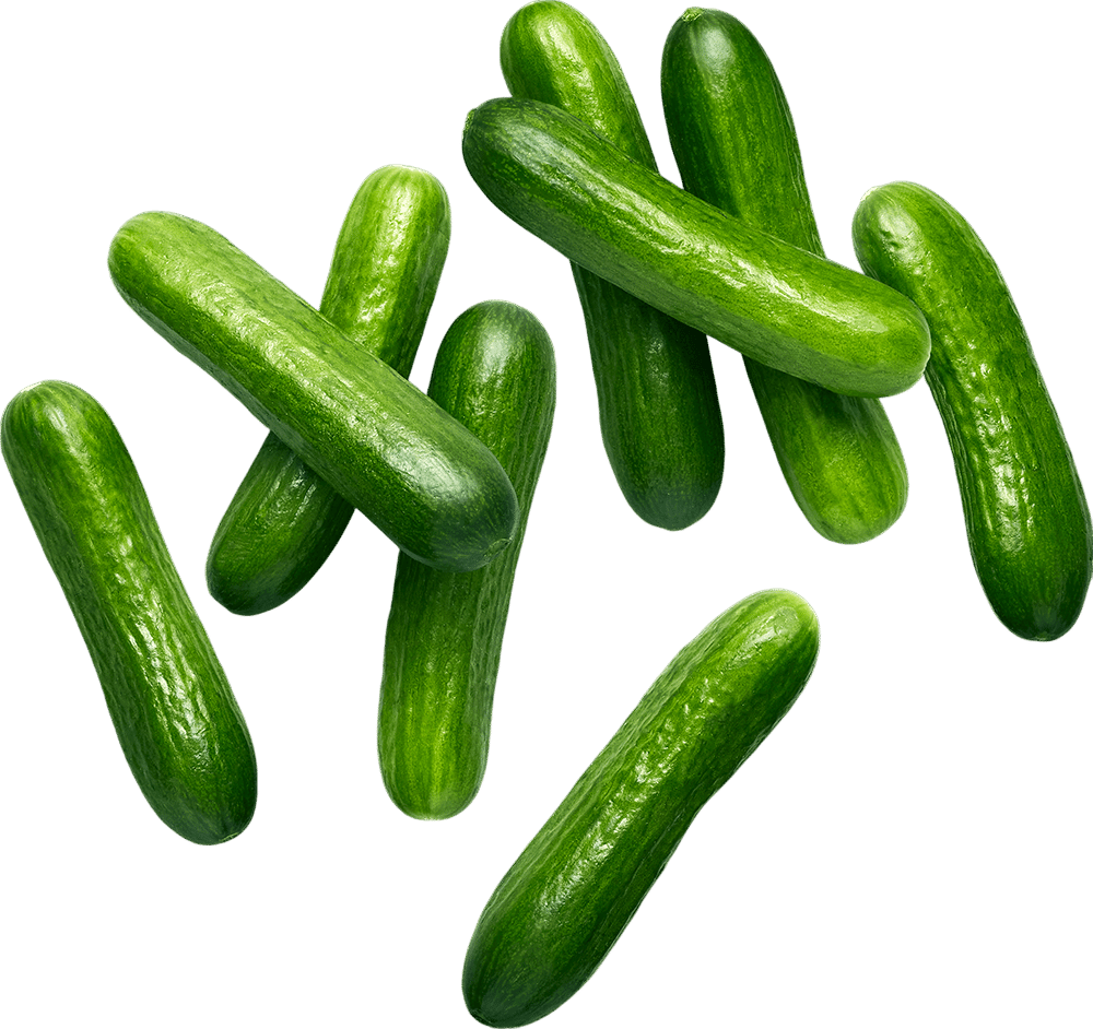 tiny little one bite cucumbers