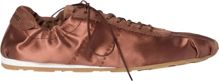 Plume lace-up fastening sneakers