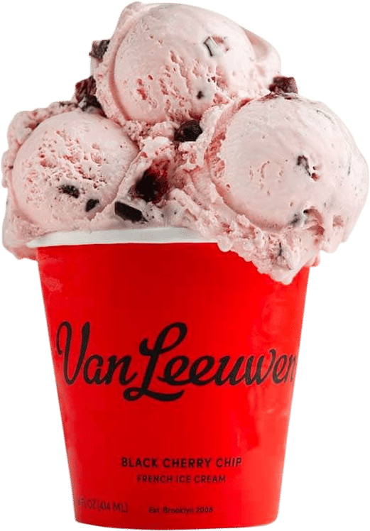 van leeuwen black cherry chip