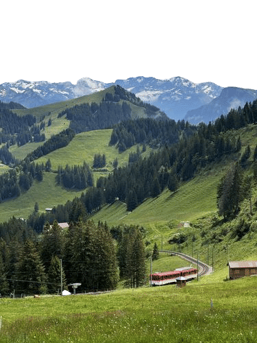 take the train to Lucern to take the steamship to Rigi