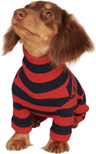Pineapple Express Fleece