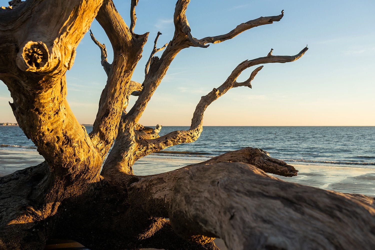Jekyll Island