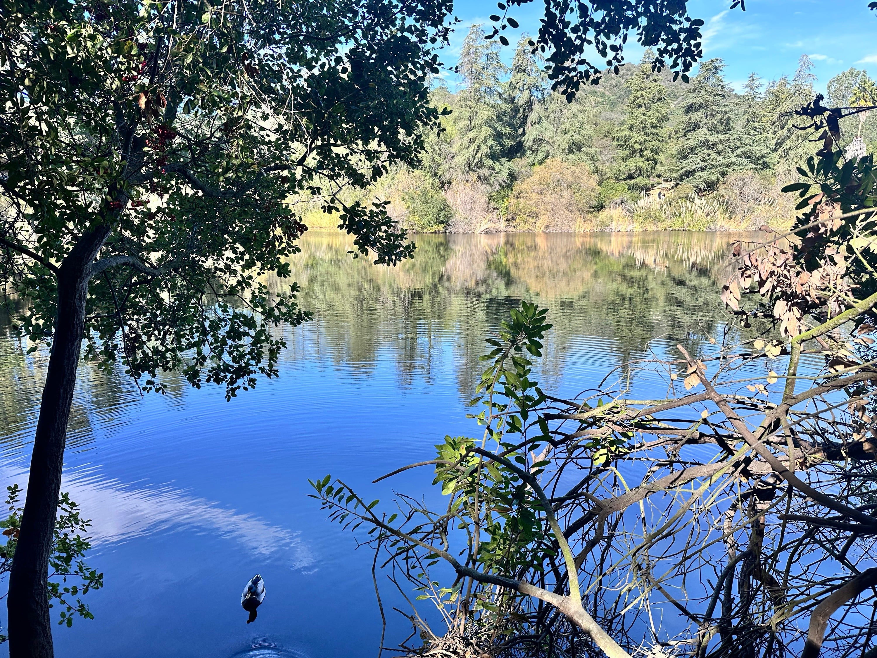 Franklin Canyon reservoir