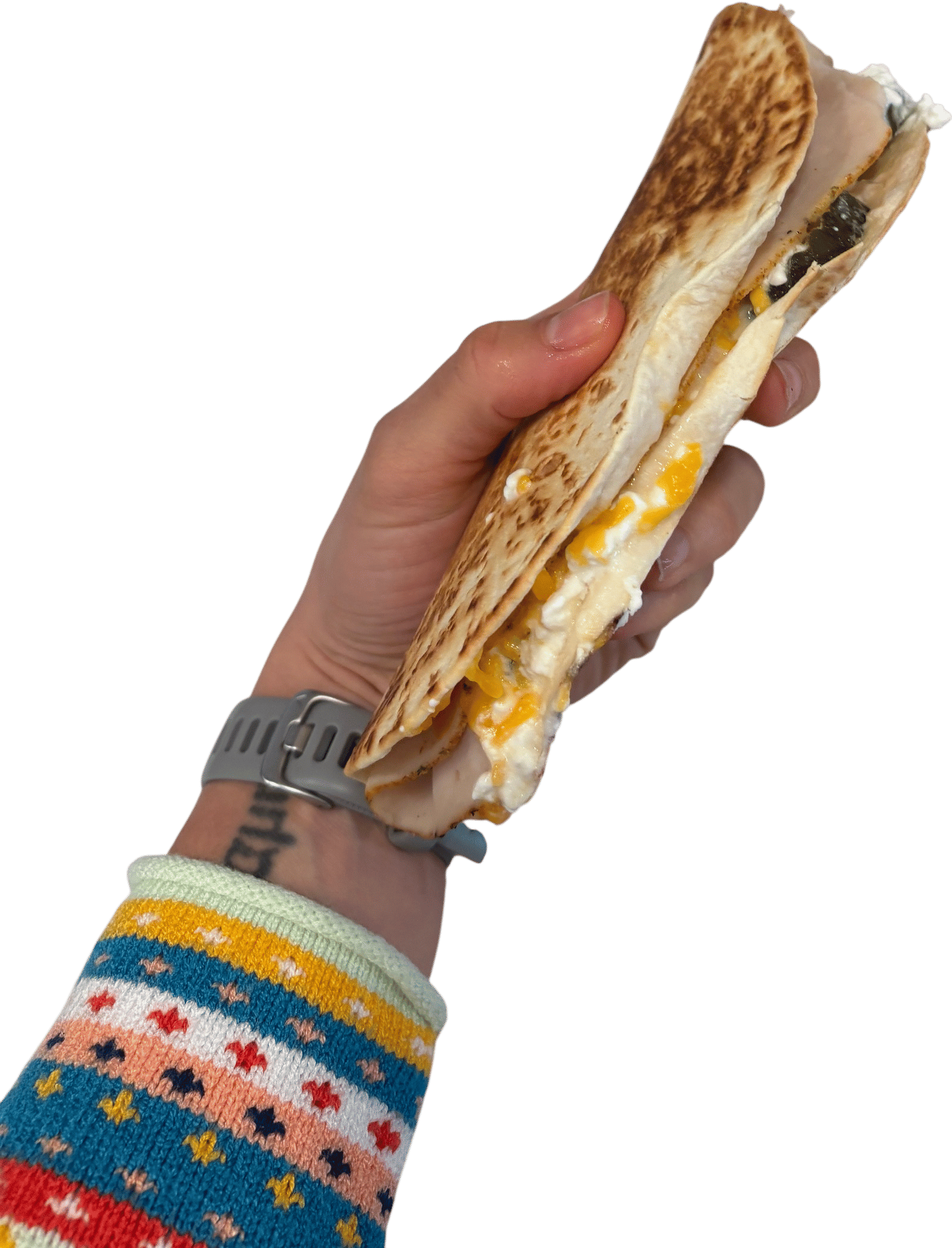 Cottage Cheese Quesadilla Recipe