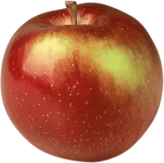 Tiny Apple In Your Bag