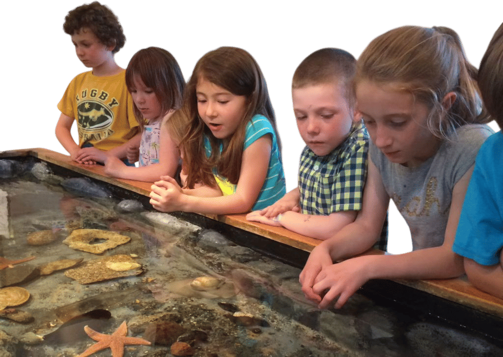 touch tank, &c.