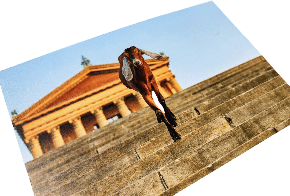 Philly Goat Project Postcard Book