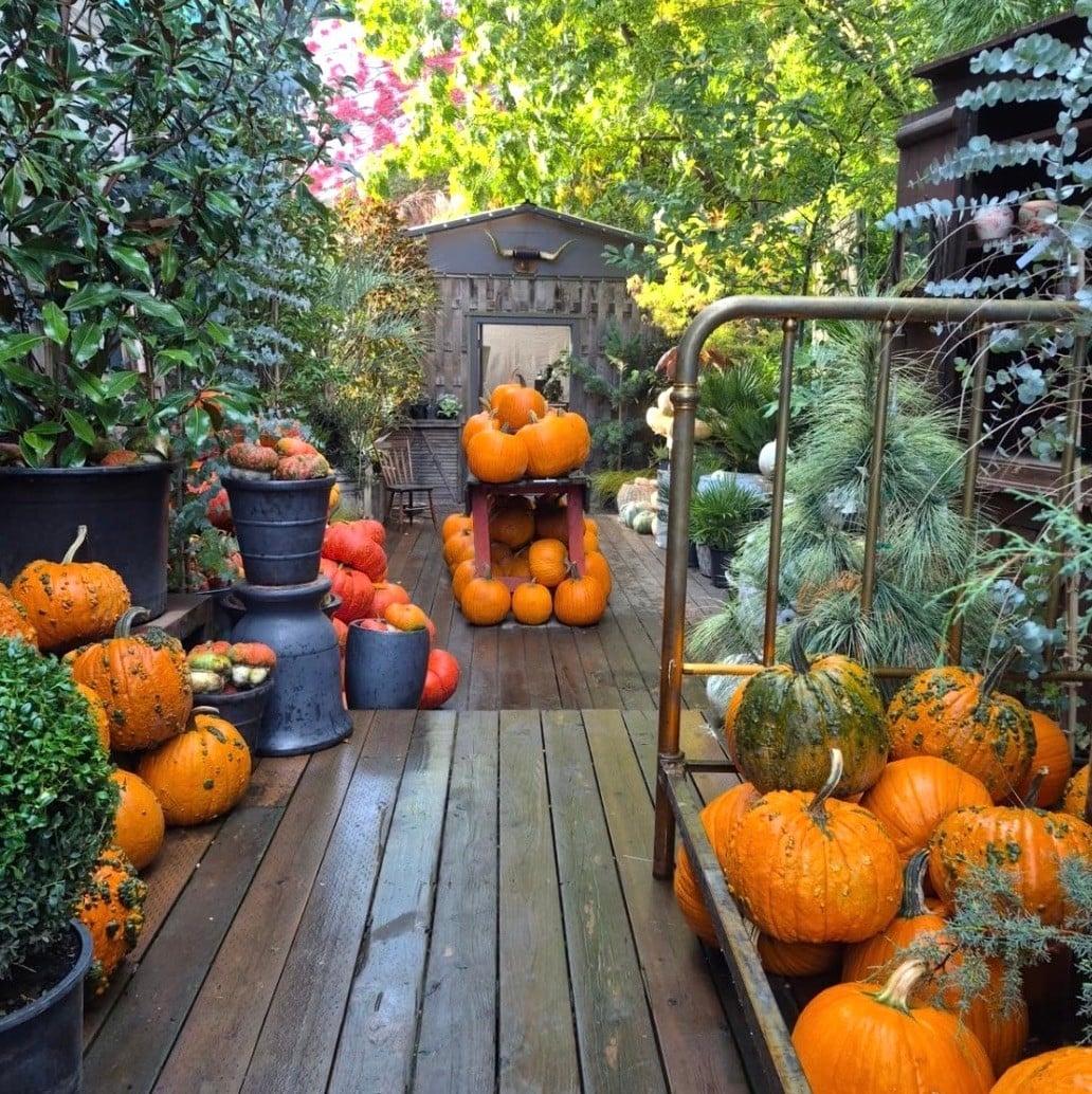 Fall movies