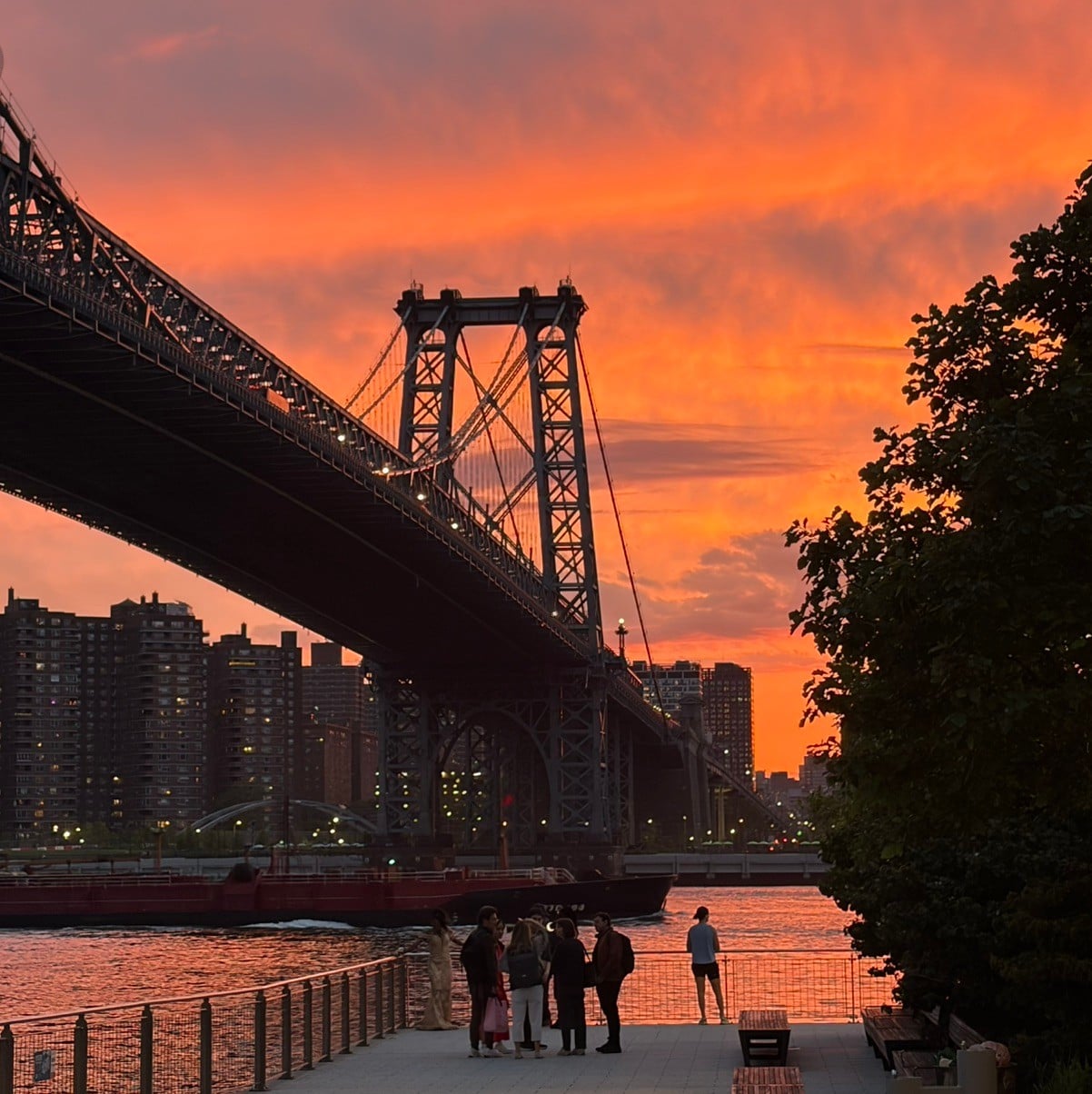NYC Recs
