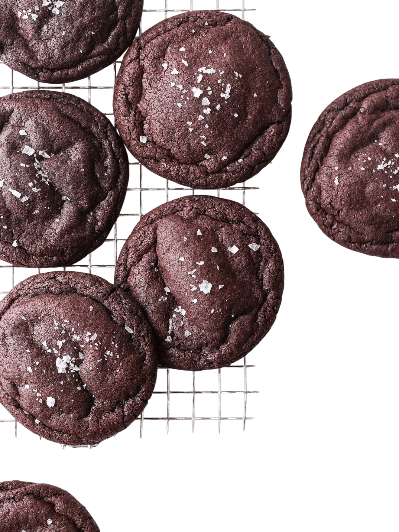 Soft and Chewy Chocolate Cookies Recipe
