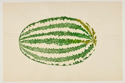 Untitled (Watermelon)