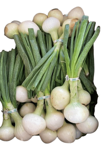 Finley Farms