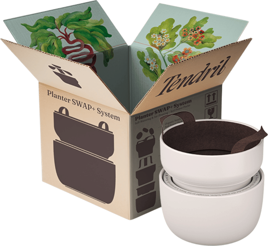 The Tendril Planter