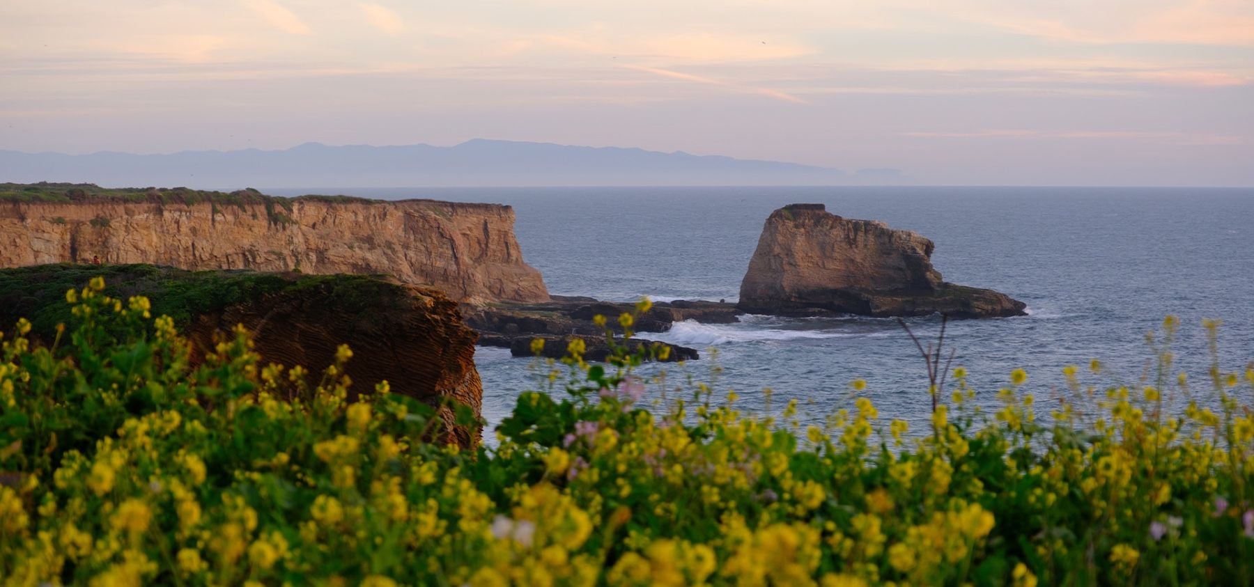 Santa Cruz