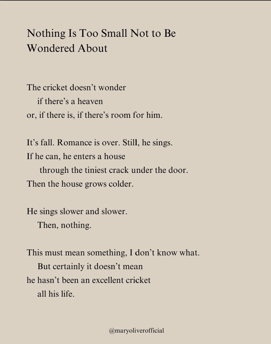 Nothing Is Too Small Not To Be Wondered About (Mary Oliver)