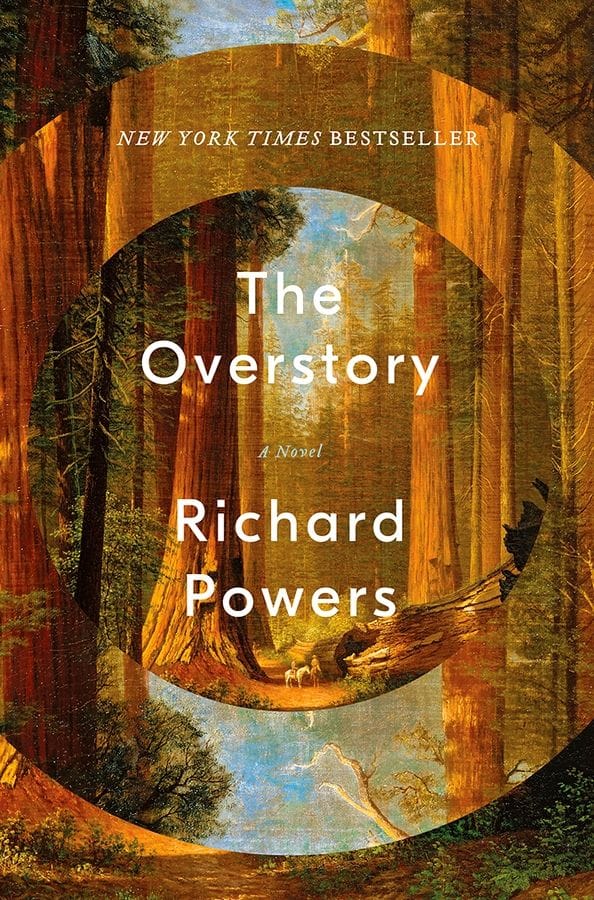 the Overstory