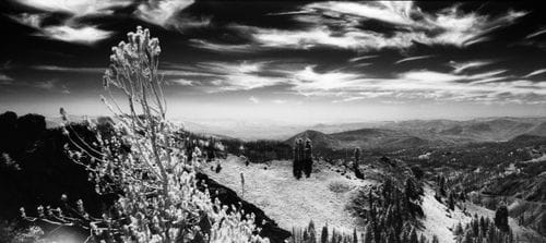 Konica Infrared 750 film