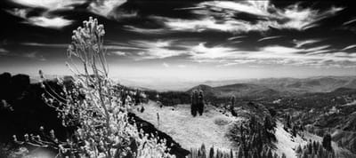 Konica Infrared 750 Film
