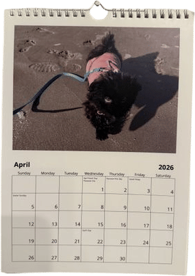 custom calendar of your dog