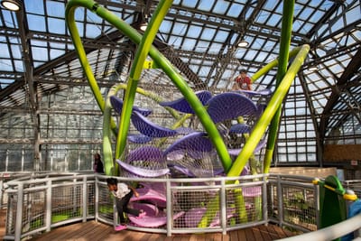 Garfield Park Conservatory Children's Garden