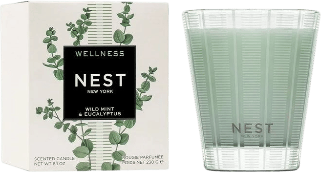 NEST New York Wild Mint & Eucalyptus Classic Candle