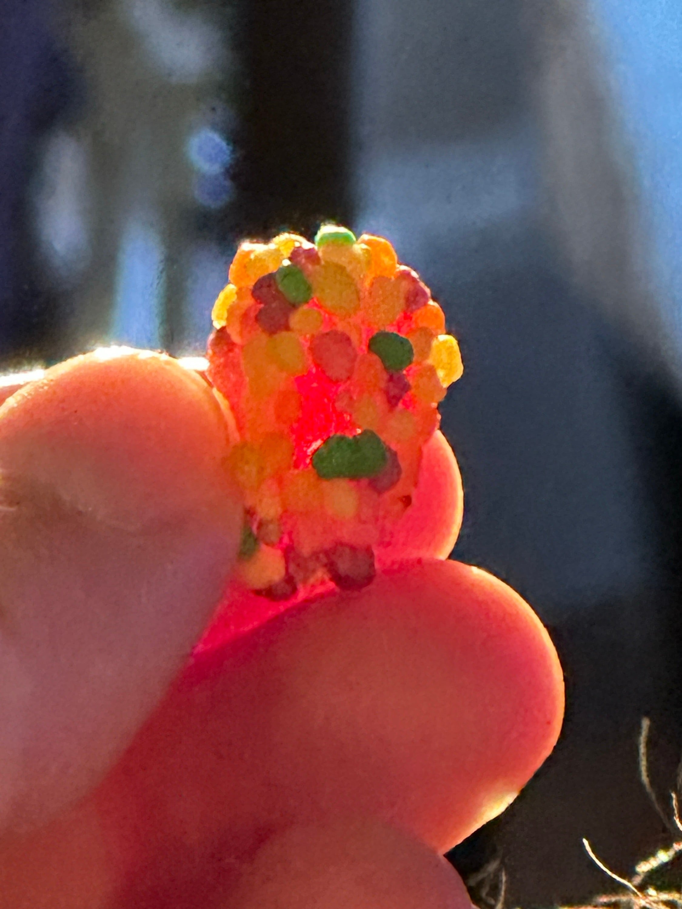 Nerds gummy clusters