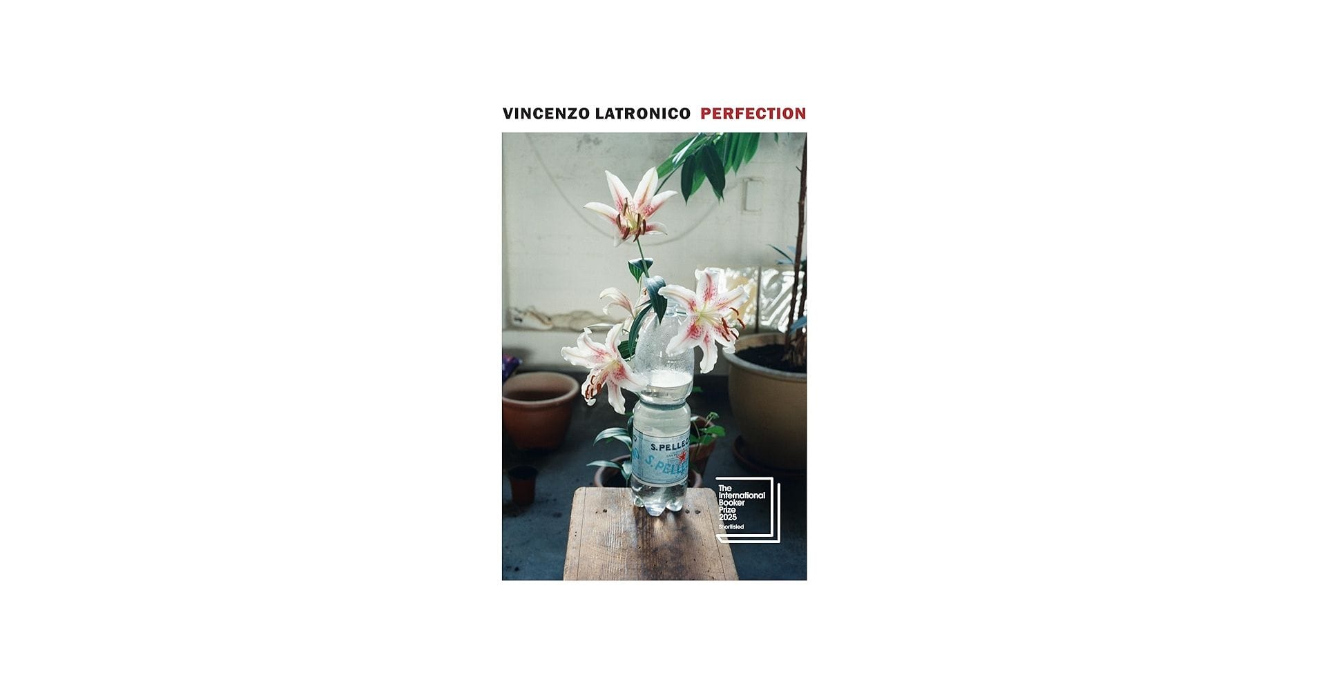 perfection by vincenzo latronico