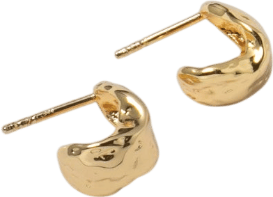 Small Roden Hoops