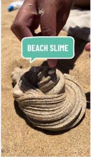 Making sand slime on the beach
