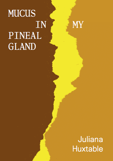 Mucus in My Pineal Gland by Juliana Huxtable