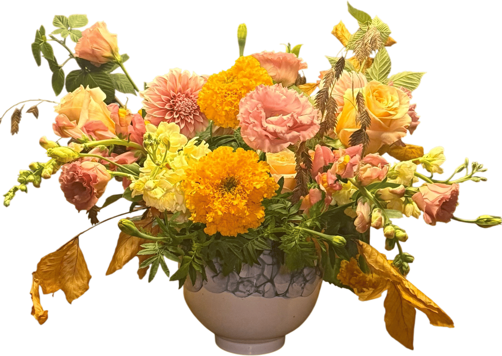 Lily Floral Collective!!