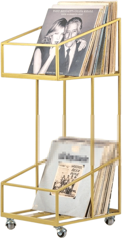 Vinyl Record Cart – LP Storage Stand on Wheels