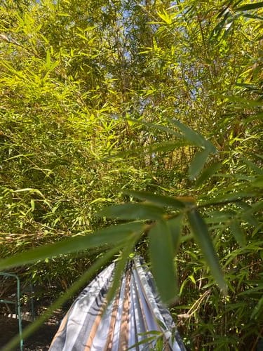 A power nap in a hammock