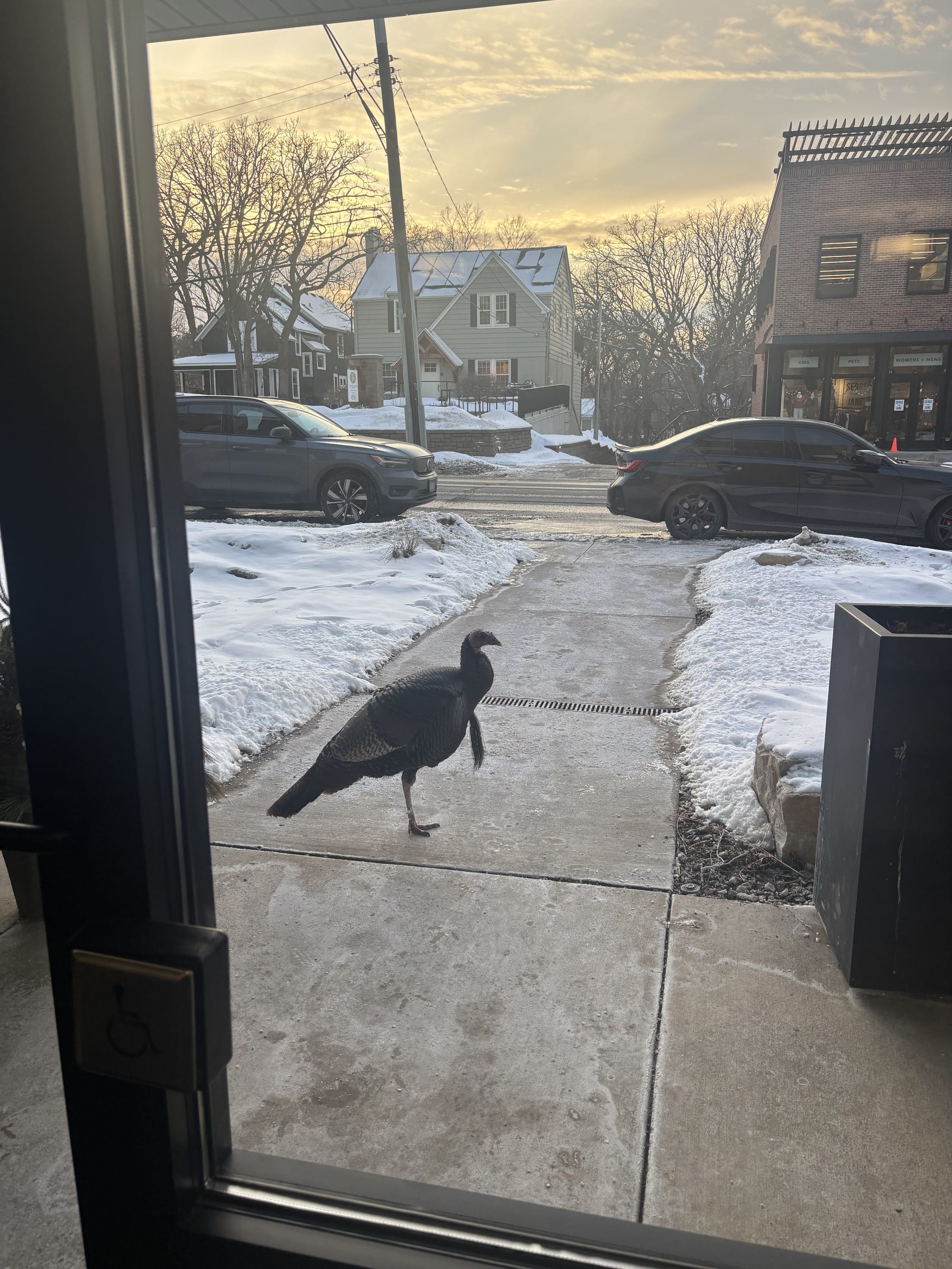 Going into the office