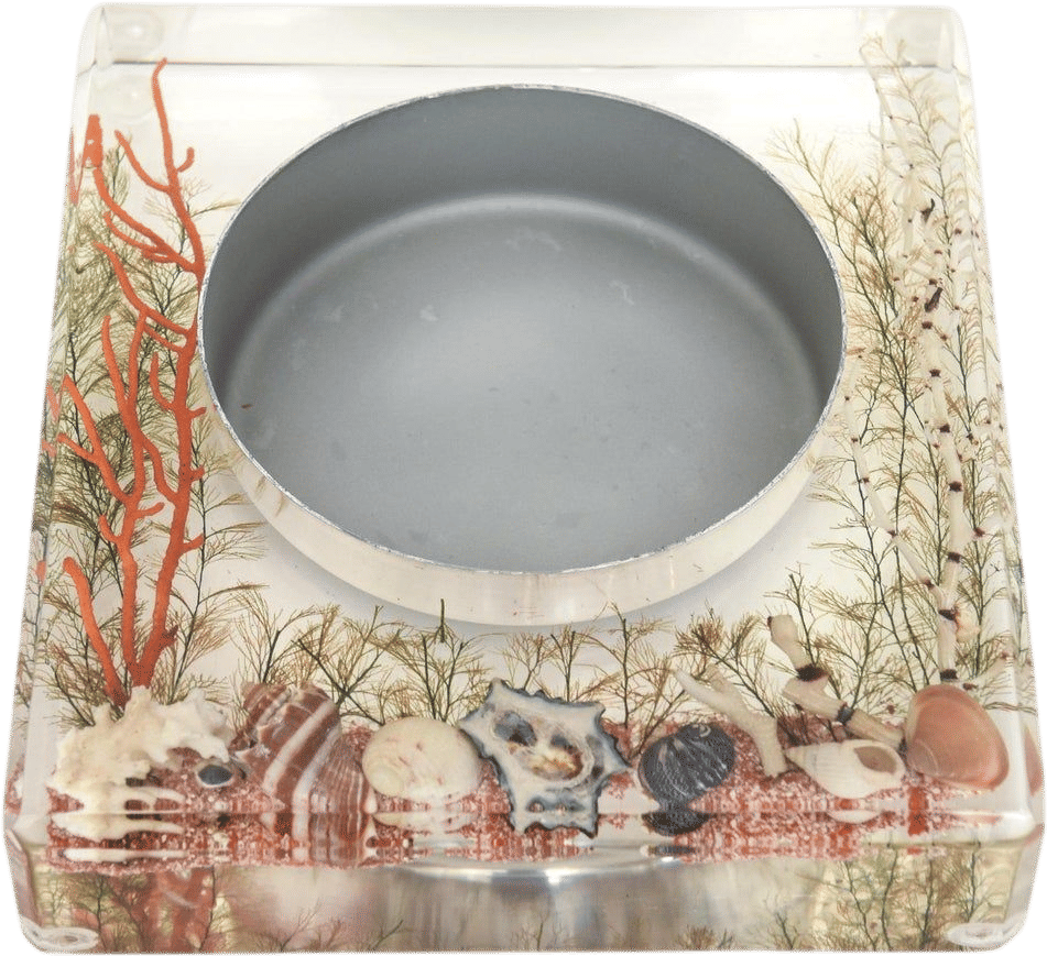 Coastal Nautical Lucite Bowl with Resin Coral, Shells, and Sand