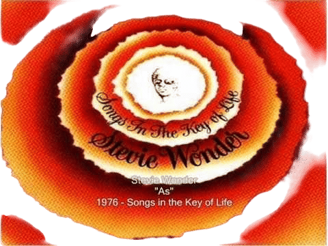 stevie wonder as