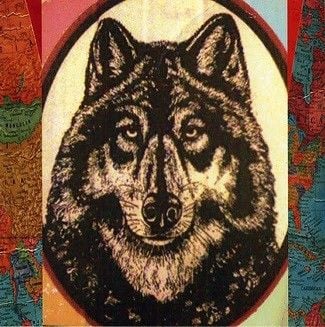 Chances With Wolves