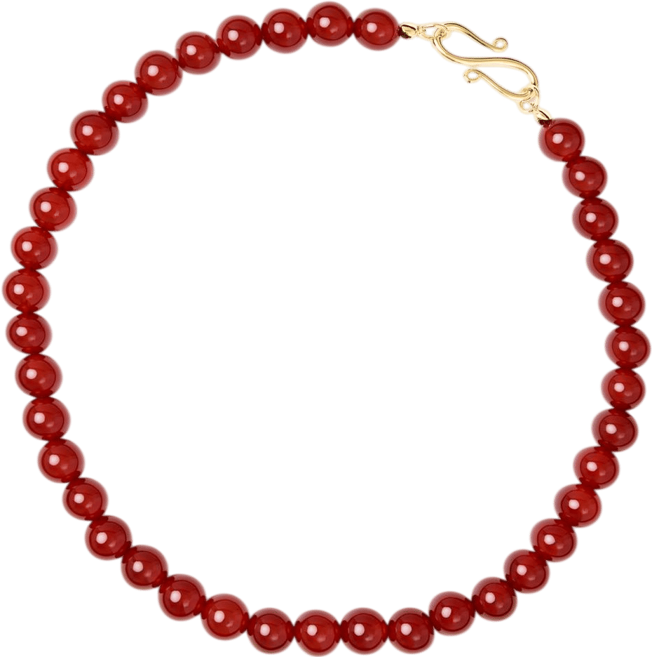 The Mary Necklace in Red Carnelian | LIÉ STUDIO