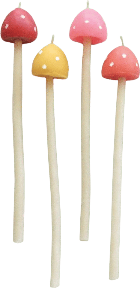 Beeswax Mushroom Candles