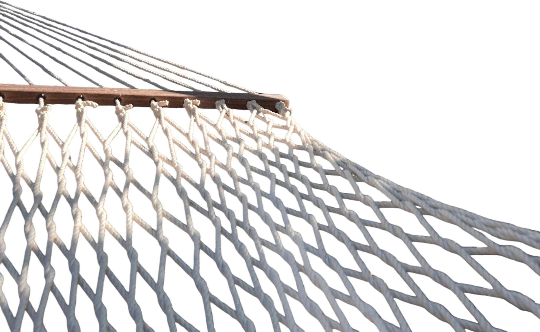 Five minutes in the hammock